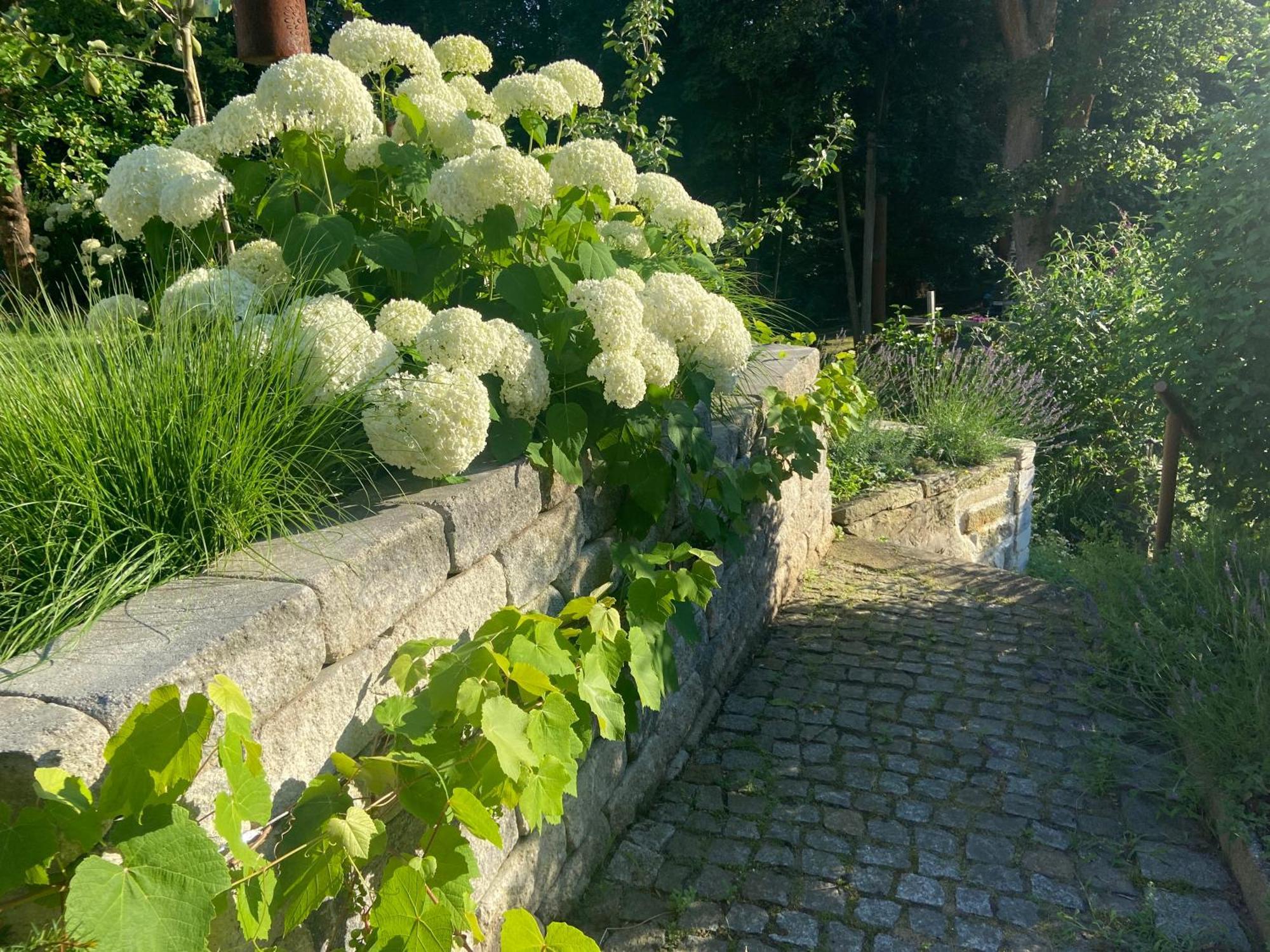 Romantik Idyll Am Tiefental Konigsbruck Luaran gambar